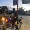 saridcas