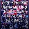 fejz.brs.braha