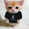 pinguin_perdun
