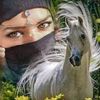 basma.ibrahim1