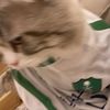 ahmad_7022_7