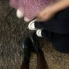 thulung_raii
