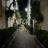adam_xx221
