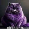 odessa_streamer