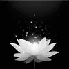 kimngan7520146