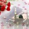 shumaila.kiran1