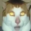luca0l1