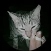 m0rlendar