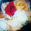 user20677542186103