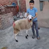 ritaj.et.sofyan
