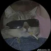 duong.minh49