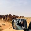 user571659704ibrahim