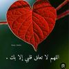 user2945794191093