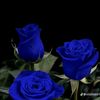 unknoww2562