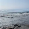 aicha3608