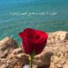 93380044049483alaa