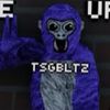bltzvr