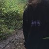 _nwaliaa
