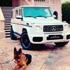 55tarevxejq