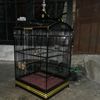 faturkece24