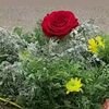 user8024590606172