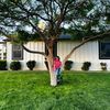 phoenixtreeexperts