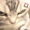 th_yibahnurkh_