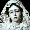 سئمتُ الحياة