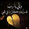 user3526953042835