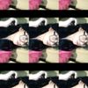 jell_.sikaa