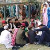 naqib.khan.sher.k5
