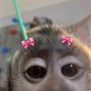 meliss__60