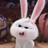 Jiipyhappy