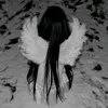 majcvx_