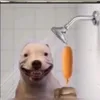kolankooo1