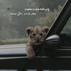 fatema__mohammadi