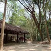 loihua10n