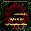 user6118073211612
