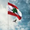 dany.sadaka123
