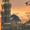 abdurahman.m70