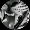 user3345751778484_