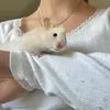 Petswcourt • 🧺🤍