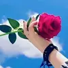 touma.hsn