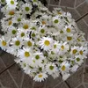 cortesdeumbanda