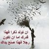 abohshamomr