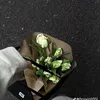 ttrnhtin1