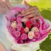 safaaldressi4