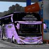 izza44509