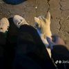 jamila.ben.hassen8