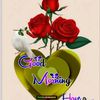 user9005746173261